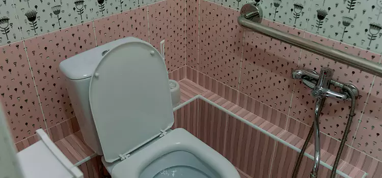 Meeting Diverse Needs With Accessible Restroom Solutions in McNair, VA