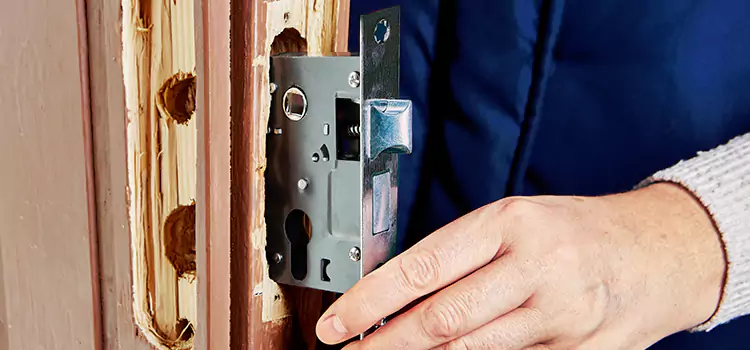 Garage Door Lock Replacement McNair